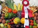 prizedisplay.JPG
